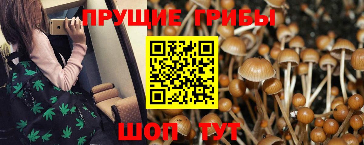 Новоуральск  Галлюциногенные грибы MAGIC MUSHROOMS  Вход с VPN 